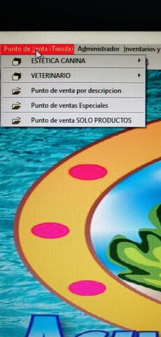 Sin Nombre